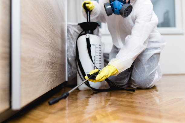 Professional Pest Control in Oblong, IL