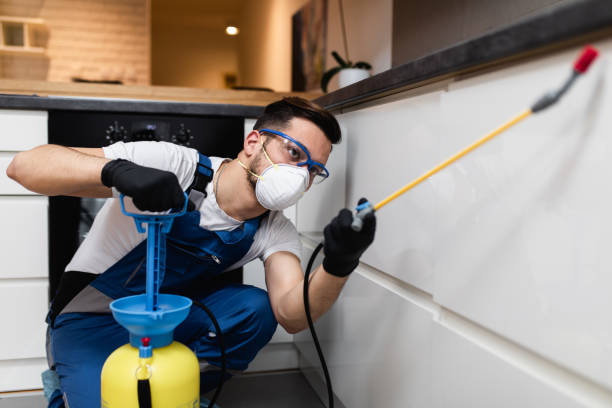 Best Pest Prevention Services  in Oblong, IL