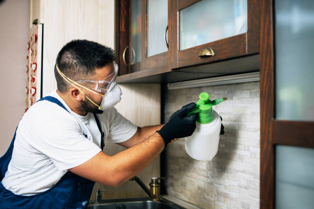 Best Local Pest Control Services  in Oblong, IL