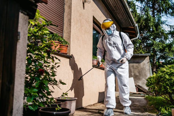 Best Wildlife Control Services  in Oblong, IL
