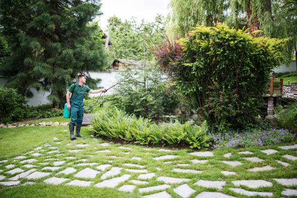 Best Insect Control  in Oblong, IL