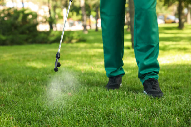 Best Ant Control Services  in Oblong, IL