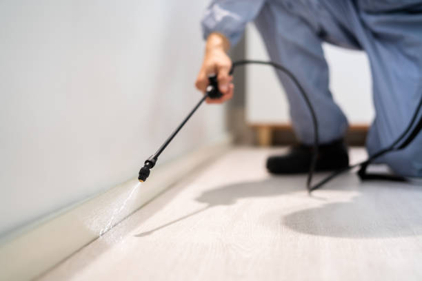 Best Affordable Pest Control Services  in Oblong, IL