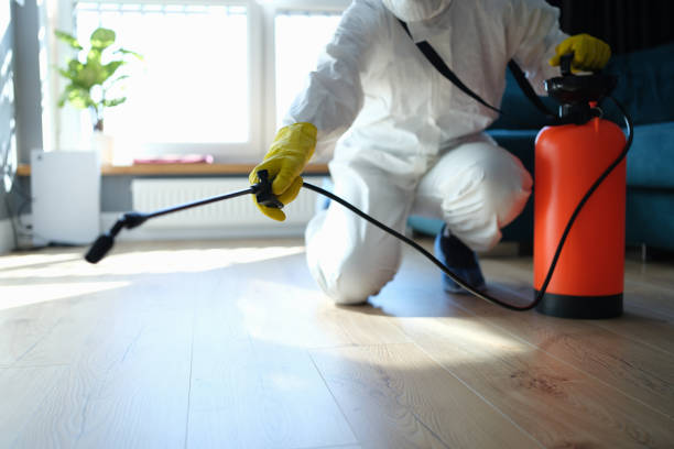 Best Wasp Removal Services  in Oblong, IL