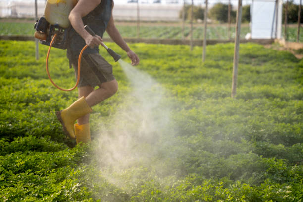 Best Residential Pest Control  in Oblong, IL