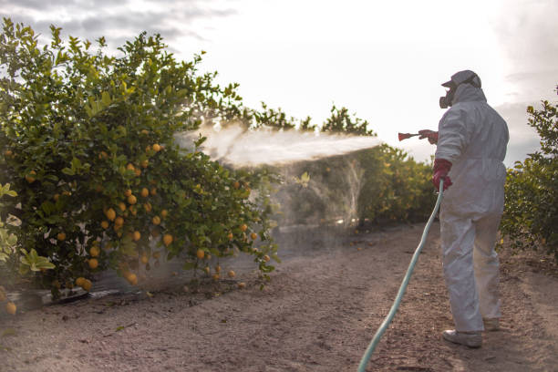 Best Pest Removal Services  in Oblong, IL