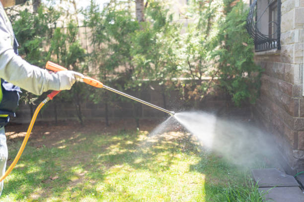 Best Rat Extermination Near Me  in Oblong, IL
