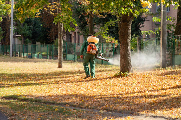 Best Pest Inspection Near Me  in Oblong, IL