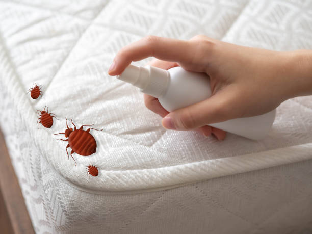 Best Commercial Pest Control Services  in Oblong, IL
