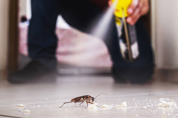 Pest Control for Restaurants in Oblong, IL