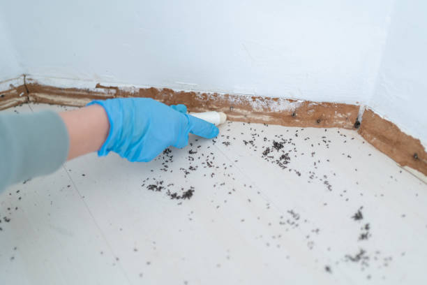 Best Wildlife Control Services  in Oblong, IL