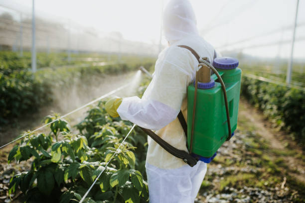 Best Exterminator Services  in Oblong, IL